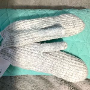 I am NEW grey cozy lined mittens. Woman